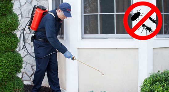 Karşıyaka Dezenfeksiyon böcek ilaçlama ve haşere kontrolü — ilaclama-tr.com